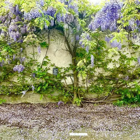 Διαμέρισμα Hypercenter Flat, Secure Private Parking